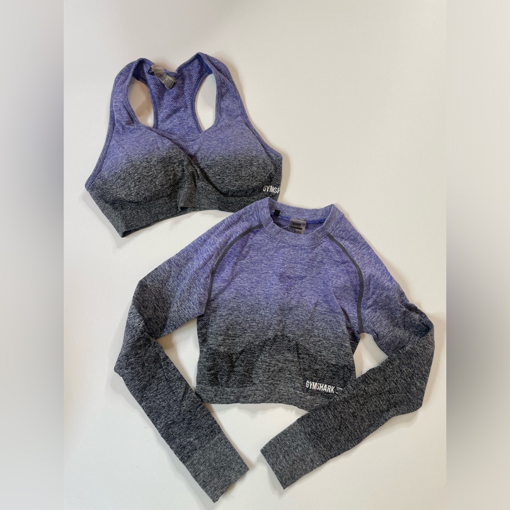 Gym shark ombré sports bra and long sleeve top